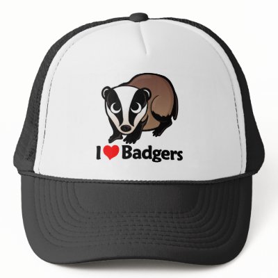 i love badgers