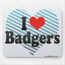 i love badgers