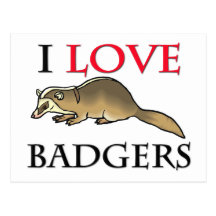 I Love Badgers Post Card