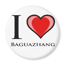I Love Baguazhang Fridge Magnets