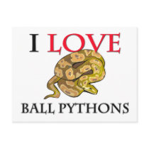 I Love Ball Pythons postcards