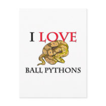 I Love Ball Pythons postcards
