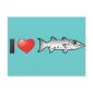 I Love Barracuda Postcard