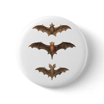 I love bats pinback button