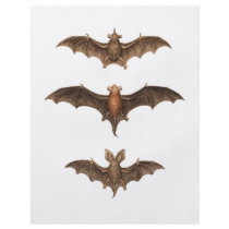 I love bats flyers