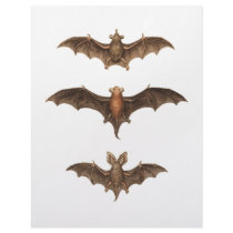 I love bats letterhead by spyderfyngers I love bats letterhead