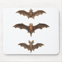 I love bats mouse pads