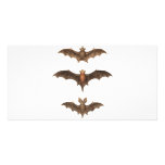 I love bats photo greeting card