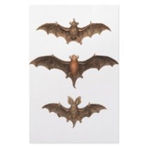 I love bats custom stationery