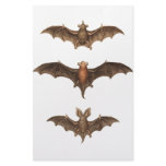 I love bats custom stationery