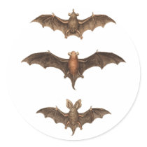 I love bats stickers