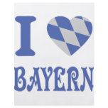 I love bayern icon flyers