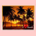 I love beach palmtree postcard postcards