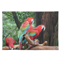 I love beatiful birds!  red and blue parrots placemats