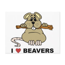 I Love Beavers Postcard