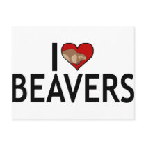 I Love Beavers Postcard
