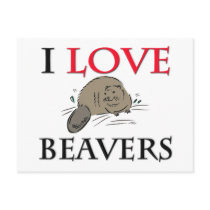 I Love Beavers Post Card
