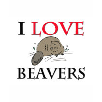 I Love Beavers t-shirts