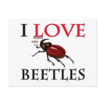 I Love Beetles Post Cards