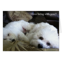 "I Love Being with You!" Card