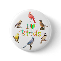 I LOVE BIRDS buttons