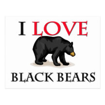 I Love Black Bears Postcard