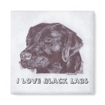 I love Black Labs Magnet