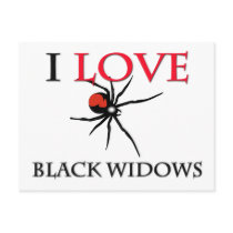 I Love Black Widows Post Card