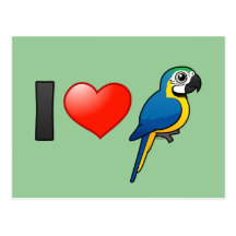 I Love Blue-and-yellow Macaws Post Card