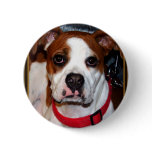 I Love Boxer Collection I Love Boxer Collection