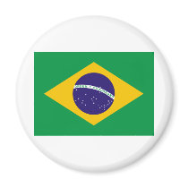 I Love Brazil Magnets