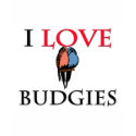 I Love Budgies t-shirts