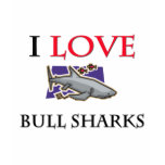 I Love Bull Sharks