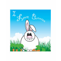 I Love Bunnies t-shirts