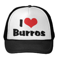 I Love Burros Mesh Hat