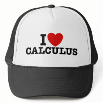 I Love Calculus hats