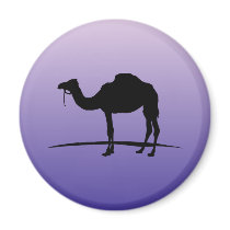 I love Camel Magnet