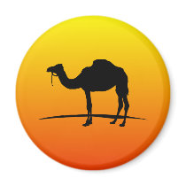 I love Camel Magnets