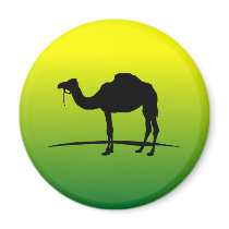 I love Camel Magnet