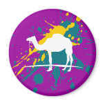 I love Camel magnets
