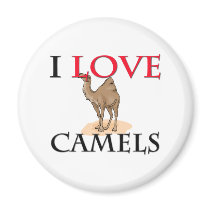 I Love Camels magnets by tshirtshirts I Love Camels magnets