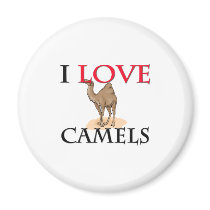 I Love Camels magnets by tshirtshirts I Love Camels magnets
