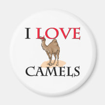 I Love Camels Refrigerator Magnets