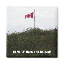 I Love Canada Magnet