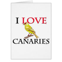 I Love Canaries cards by tshirtshirts I Love Canaries cards