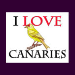 I Love Canaries