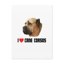 I Love Cane Corsos Postcard