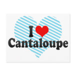 I Love Cantaloupe Postcard