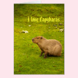 I love capybaras Card cards
