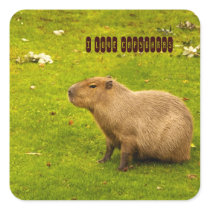 I love Capybaras Sticker